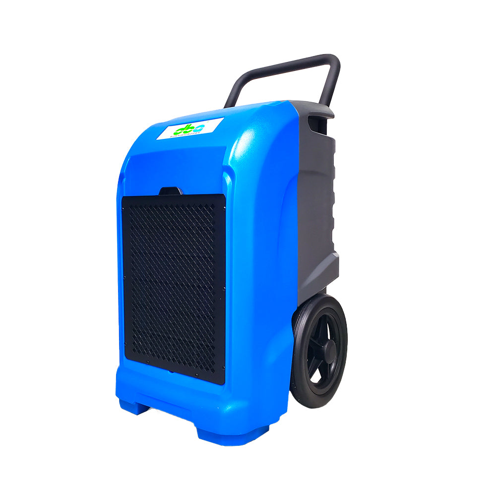 Refrigerant compressor dehumidifier